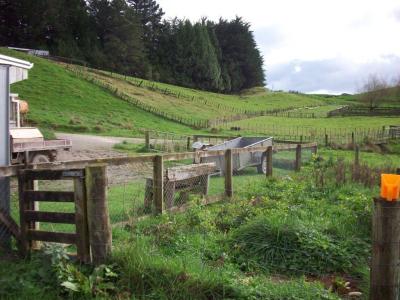 matanui-11-5-11-037
