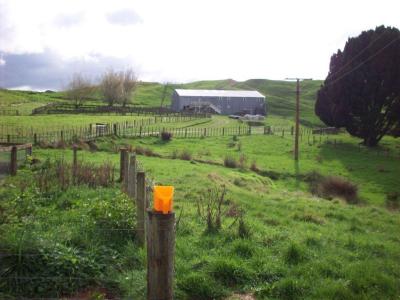 matanui-11-5-11-038
