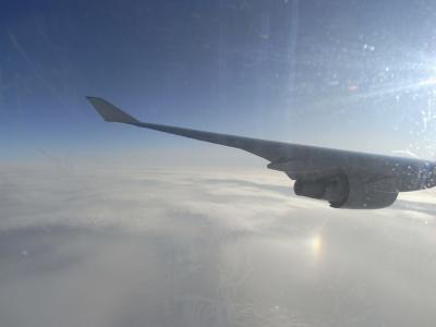 nz1