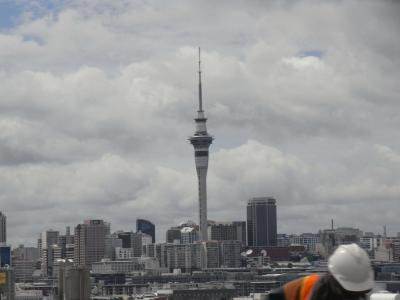 nz102