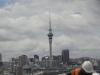 nz102