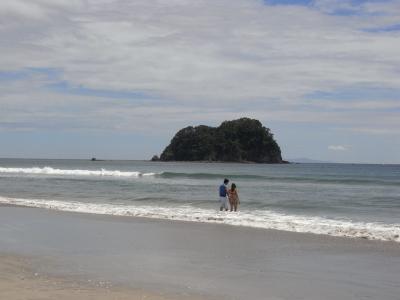 nz111