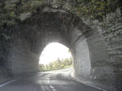 nz126