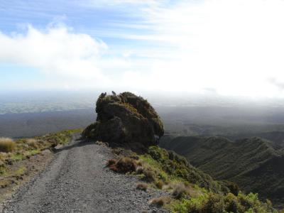 nz135