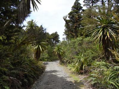 nz149
