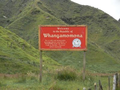 nz167