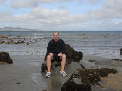 nz17