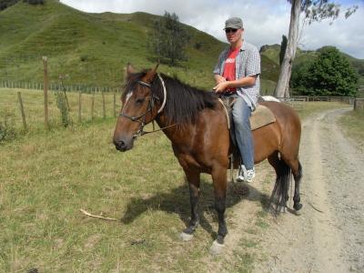 nz173