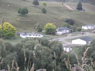 nz184