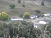 nz184