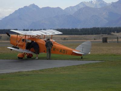 nz29