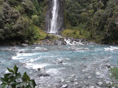 nz37