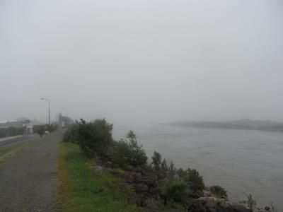 nz411