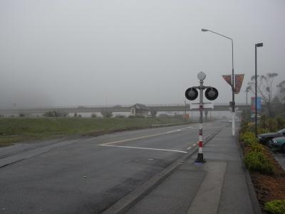 nz48
