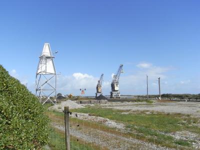 nz50