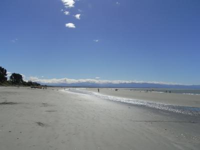 nz51