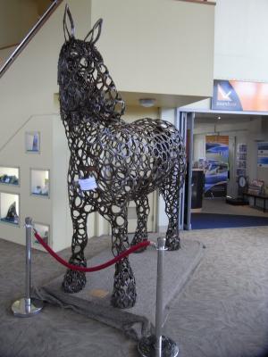nz59