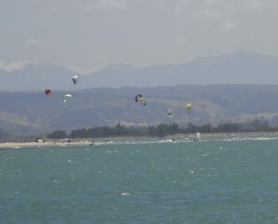 nz60