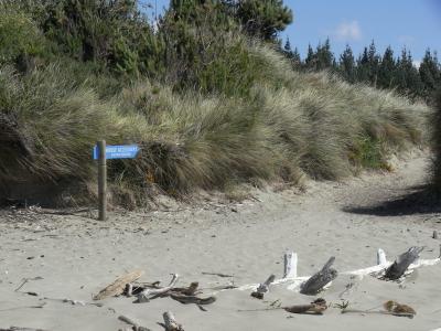 nz63