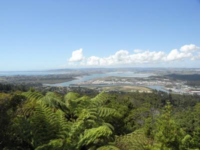 nz88