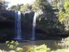 nz93