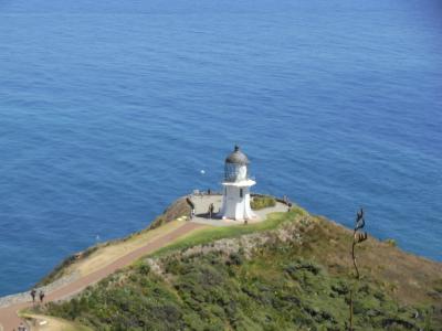 nz95