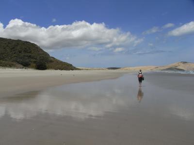 nz97