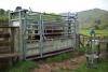 stier2