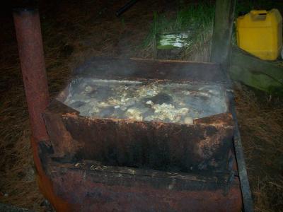 stleger-11-5-08-001
