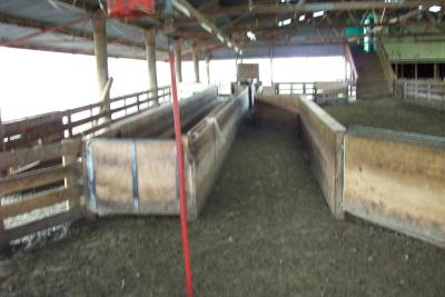 stleger-16-8-08-028