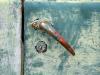 rusty handle