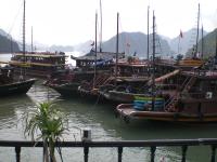 halong_boats