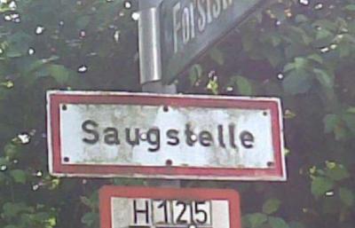 saug