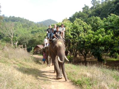 chiangmai_elephant