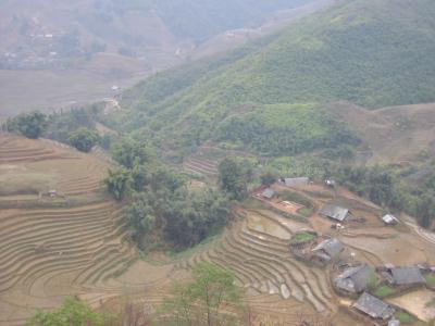 sapa_rice_terraces