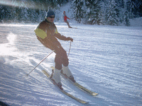Brucki-on-Snow
