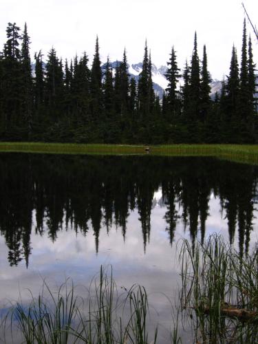 Glacier NP - Marion Lake