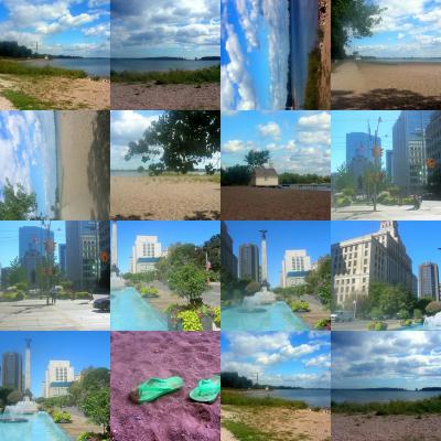 collage7