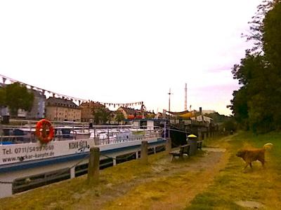 Schiffsanlegestelle am Mühlgrün