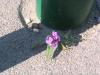 DSCN0501