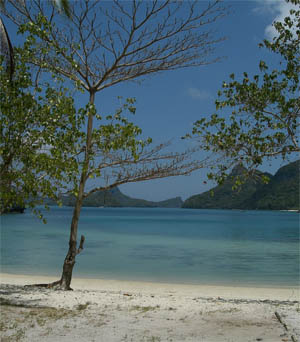 Strand