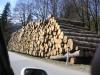 holzblick