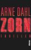 121221-Zorn-Arne-Dahl