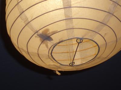 P5020063
