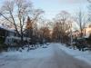 Das ist der Blick in eine meiner Nebenstrassen... schön verschneit und eindeutig nordamerikanisch! ;)