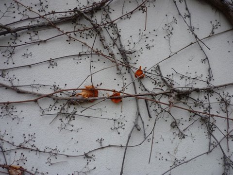 P1020266