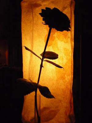 P1020487