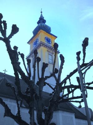 P10205991
