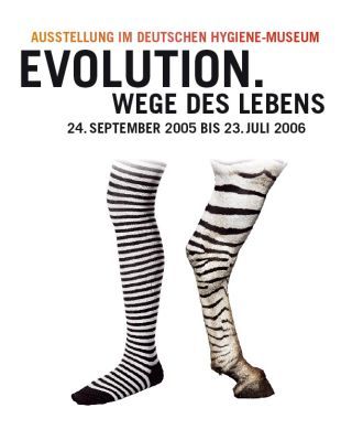 evolution_motiv_02