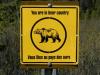 Bear-Country
